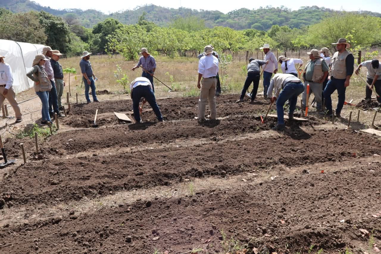  

La SAG reactiva la extensión agrícola para fortalecer la productividad del país